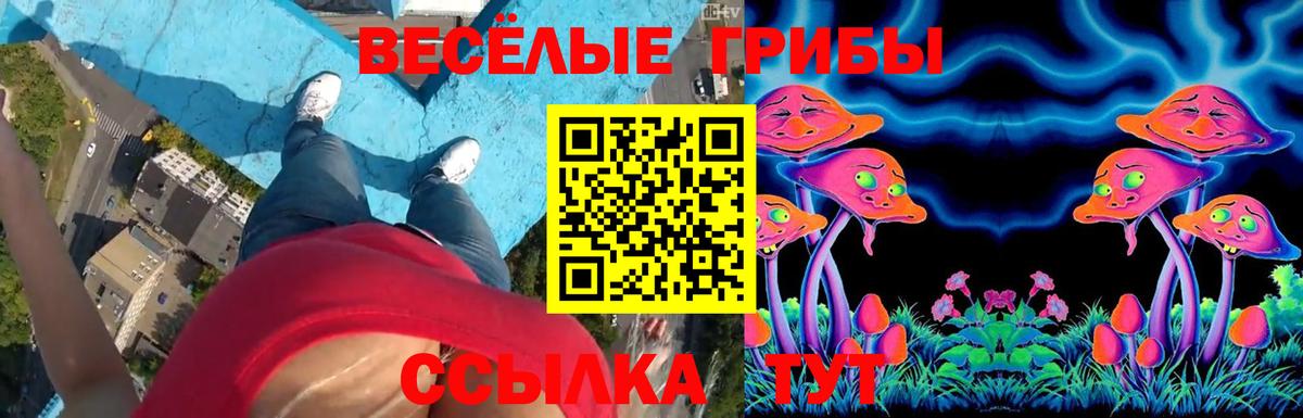 Галлюциногенные грибы Psilocybine cubensis Екатеринбург